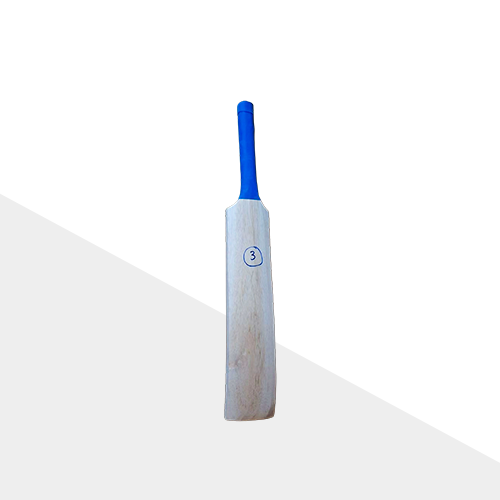Kashmir Willow Training Bat